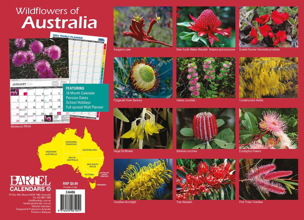Wildflowers Of Australia 2024 Calendar Ryft